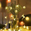 PRG2 Decorative Hanging String Lights (Plastic Wire)