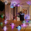 M20 Disco Mirror Ball LED Lights